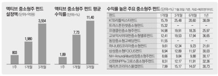 한달새 2천억…액티브 중소형주펀드 `불티`