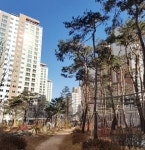 [입주타임] 김포한강신도시 `김포한강아이파크` 84㎡ 매매가 3억원대 ③거래편