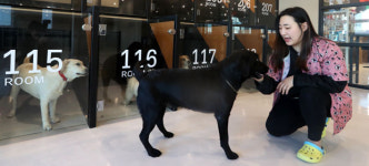 [Consumer Journal] 설날 고향길 잘 다녀오세요, 저는 호텔서 스파 즐길게요