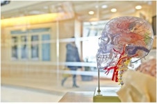 우울증, 파킨슨 ,알츠하이머 등 뇌 건강에 도움되는  크릴오일이야기