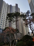 교통·학군 우수한 신축 아파트, 서초동 `서초푸르지오써밋`