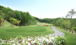 4계절 내내 푸르른 소나무의 정취를 만끽 할 수 있는 해솔리아CC