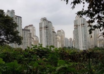 뛰어난 광역교통망 자랑하는 광교신도시 `자연앤자이2단지`