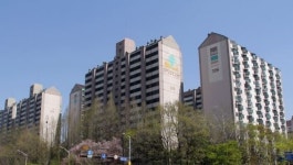 분당신도시 중 서현역 가장 가까운 서현동, `한양아파트` 최근 전세가가..