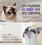 눈에 딱 띄는 투자-반려동물 소셜커머스 ‘마이펫플러스’