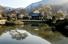 수천년 전통 수묵화 중심은 한국