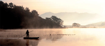 [생태여행] 엉금엉금~ 정글 숲을 기어서 가자…아마존 뺨치는 대한민국 속 습지투어