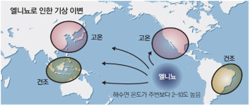 바다의 열사병 엘니뇨 발생 우려…전 세계적인 이상기후 초래하나