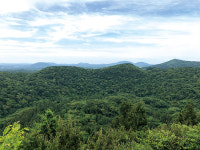 제주에서 온 여행이야기 제주 숲오름 ‘거문오름’