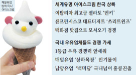 [Consumer Journal] 프리미엄 아이스크림 `달콤한 전쟁`