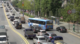 교통혼잡에 사고위험까지…`이상한 나라의 정류장`