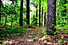 [힐링여행] 걸으면서 힐링~ 녹음이 위로하는 건강한 피서