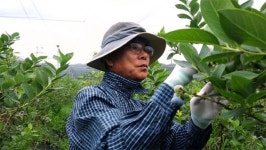 [오늘의 MBN] 한량 나무꾼 남편과 억척 선녀 아내