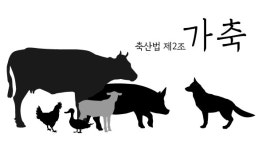 [레이더P] [팩트체커] 靑국민청원 법 개정되면 개 도살과 농장운영 불법