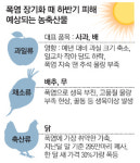 농축수산물發 가격상승…더 센 물가 후폭풍 온다