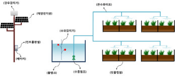 씨에스이, 시흥 도시재생사업 참여…빗물 자동관수시스템 적용