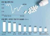 회계리스크 줄자 바이오株 일제히 `불끈`
