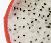 [마스터셰프 송훈의 음식생각] 이름도 생김새도 특이한 넌 누구? 열대과일의 제왕을 꿈꾸는 `용과`