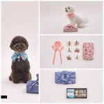 리카리카X복슬강아지, 반려동물 추석선물세트 출시...`한복케이프+수제간식` 