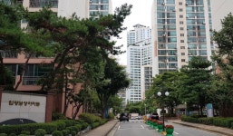 분당구 정자동 아파트 `상록마을임광보성` , 매물 품귀 현상