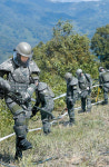 [포토] 남북 DMZ 지뢰제거 시작