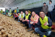 서울농협, 강원도 홍천서 `노사공동 농촌일손돕기` 진행