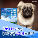 [카드뉴스] 동물 애호가라면 놓쳐선 안될 영화제가 있다?