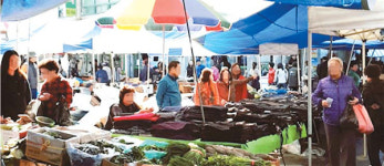 [틴매경 기자가 뛴다] 신탄진의 5일장을 아시나요