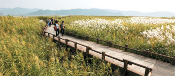 [인문학 여행] 활처럼 휜 금강하구…은빛 물결이 춤춘다