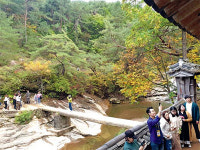 [여행플러스가 간다] 찜닭·간고등어·하회마을? 숨겨진 `진짜 안동`을 보다