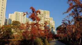 풍부한 배후수요 갖춘 강서구 마곡동 `마곡엠밸리15단지`, 최근 매매 완료