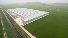 인트로메딕, 스마트팜 전문기업 티에스팜과 업무 제휴