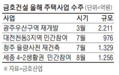 주택名家 `부활`나선 금호