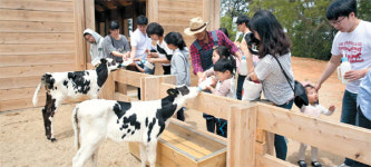 [Consumer Journal] 직접 느껴보니 더 매력…브랜드 체험형 마케팅 뜬다