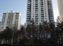 성남시 분당구 금곡동 아파트 `청솔성원` , 전용 101㎡  전세 거래 완료