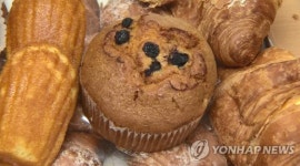 경로당에 빵·수박 제공…선거법 위반 혐의로 춘천시의원 당선무효