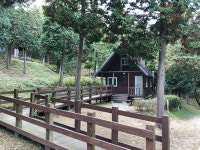 겨울엔 남쪽에서 놀자…구불구불 남해 여행