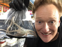 넷플릭스 `킹덤` 열린다, 기대되는 신작들