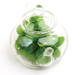 김대기의 茶이야기 ① 사람들은 왜 차를 마시는가