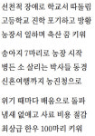 한우 살아남으려면 값 20%는 내려야…농가도 비용혁신 절실
