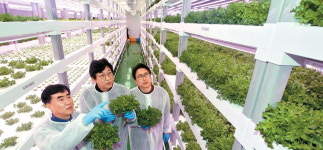 수직농장 생산성 40배…日서 수입 10년만에 설비 역수출 쾌거