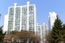 성남시 분당구 `효자촌대우,대창아파트`, 최근 전·월세 거래 동향은