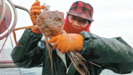 [오늘의 MBN] 영덕 대게부부의 나도 여자랍니다