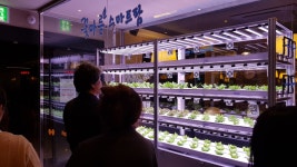 도심형 스마트팜을 식당에서 만나다...샤브샤브 전문점 꽃마름, 매장 내 수직농장 도입