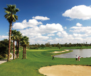 남국의 정취가 가득한 숨은 보석 같은 골프장 샤인빌파크CC