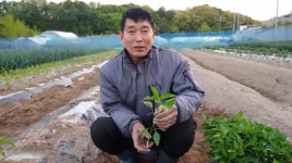 편집 안하고 음악 없어도…유튜브서 대박난  60대 농부