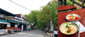 2019 그린 투어의 시작점-나무도 푸르고 글도 푸른 곳, 담양