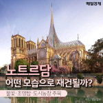 [카드뉴스] 노트르담 어떤 모습으로 재건될까? 불꽃·조명탑·도시농장 주목