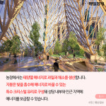 [카드뉴스] 노트르담 어떤 모습으로 재건될까? 불꽃·조명탑·도시농장 주목