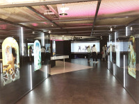 [유통] 롯데백화점 본점, 공연장이 된 백화점…K-POP 스타 오감으로 만난다